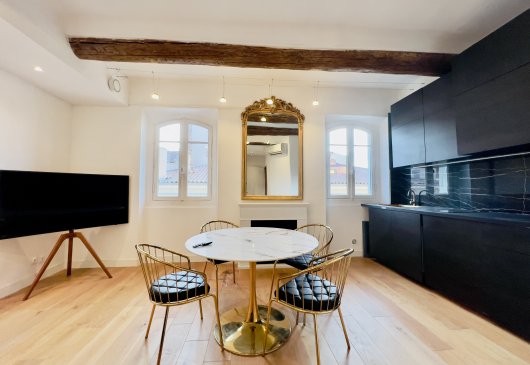 Luxurious flat in the old port